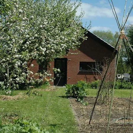 Gastenverblijf Op Het Graveland Zevenhuizen  Exterior photo