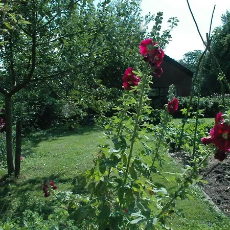 Gastenverblijf Op Het Graveland Zevenhuizen  Exterior photo
